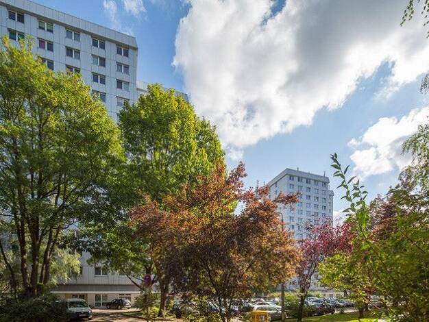 Wohnung zur Miete 250 € 1 Zimmer 26,2 m² 7. Geschoss frei ab 15.10.2026 Kiefernring 6 Waldstadt II Potsdam 14478