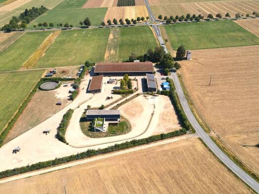 Villa zum Kauf 7 Zimmer 300 m² 67.000 m² Grundstück Ludwigshöhe 55278