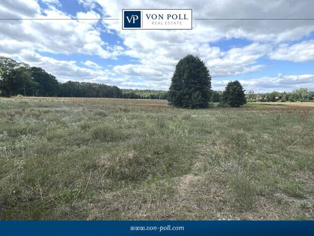 Land-/Forstwirtschaft zum Kauf 55.000 € 35.031 m² Grundstück Langewahl 15518