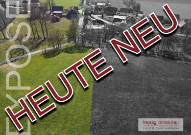 Bauernhaus zum Kauf 280.000 € 13 Zimmer 400 m² 46.222 m² Grundstück Vardeilser Landstraße 22 Kohnsen Einbeck 37574