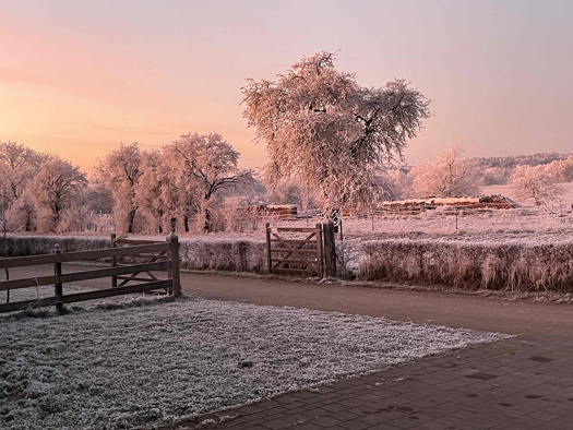 Land-/Forstwirtschaft zum Kauf 1.950.000 € 75.000 m² 5.800 m² Grundstück Dettenheim Weißenburg i. Bay. 91781