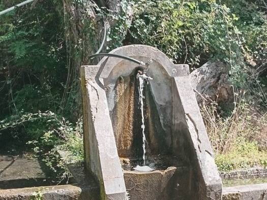 Grundstück zum Kauf 65.000 € 1.400 m² Grundstück Kreis Bar 85000