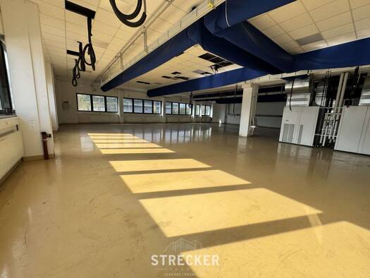 Lagerhalle zur Miete provisionsfrei 7.402 m² Lagerfläche Stein Königsbach-Stein 75203