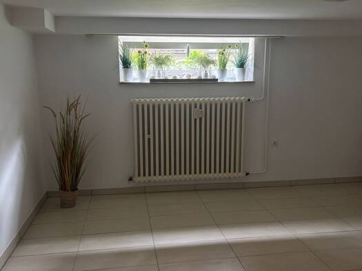 Wohnung zur Miete 450 € 1 Zimmer 32 m² frei ab sofort Impekoven Alfter 53347