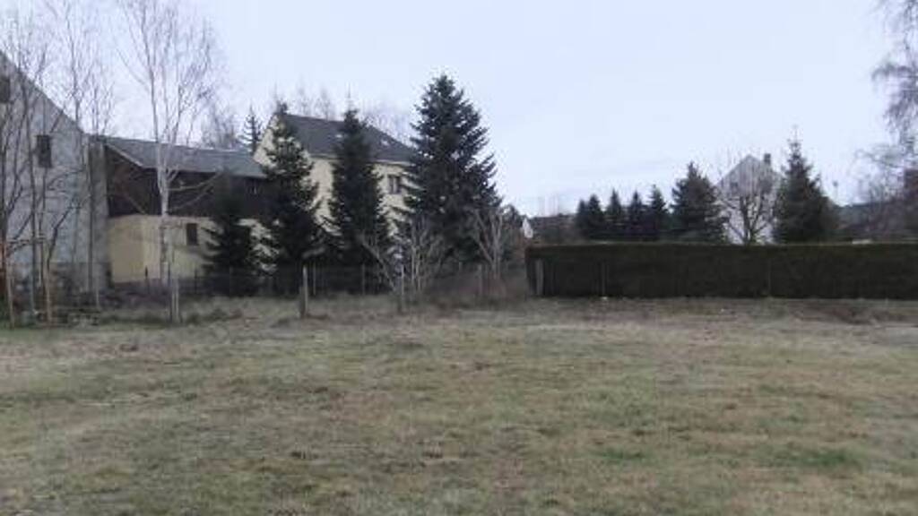 Grundstück zum Kauf 52.000 € 1.000 m² Grundstück Rebesgrün Auerbach/Vogtland 08209