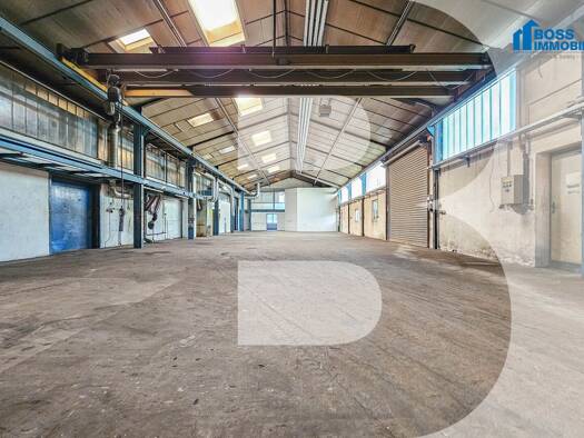 Halle/Industriefläche zur Miete 6,50 € 570 m² Lagerfläche Am Ottstorfer Berg 50 Thalheim bei Wels 4600