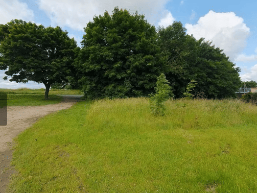 Grundstück zum Kauf 69.000 € 1.600 m² Grundstück frei ab sofort Reinstorf Zurow 23992