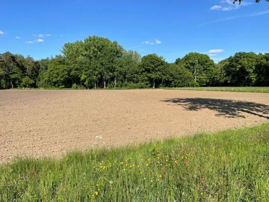 Land-/Forstwirtschaft zum Kauf 197.250 € 14.601 m² Grundstück Südlohn 46354