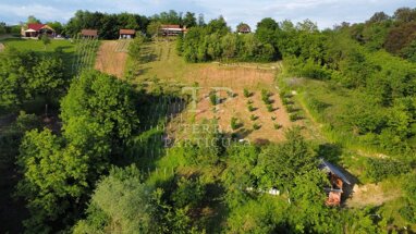 Land-/Forstwirtschaft zum Kauf 110.000 € Lug Zabocki