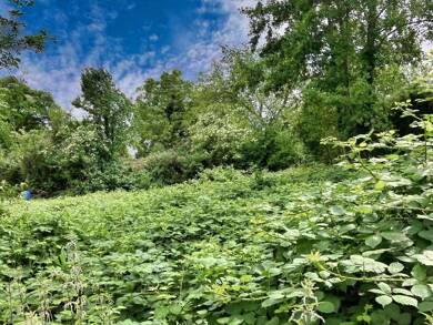 Grundstück zum Kauf 125.000 € 484 m² Grundstück Holzwickede Holzwickede 59439
