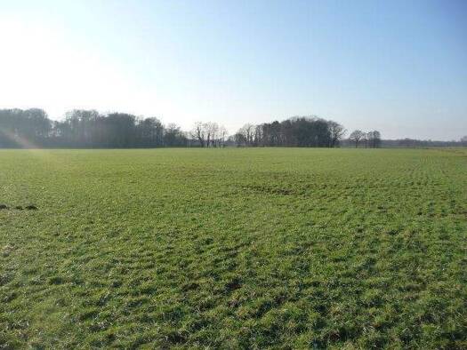 Einfamilienhaus zum Kauf 77.995 m² Grundstück Heeke Alfhausen 49594