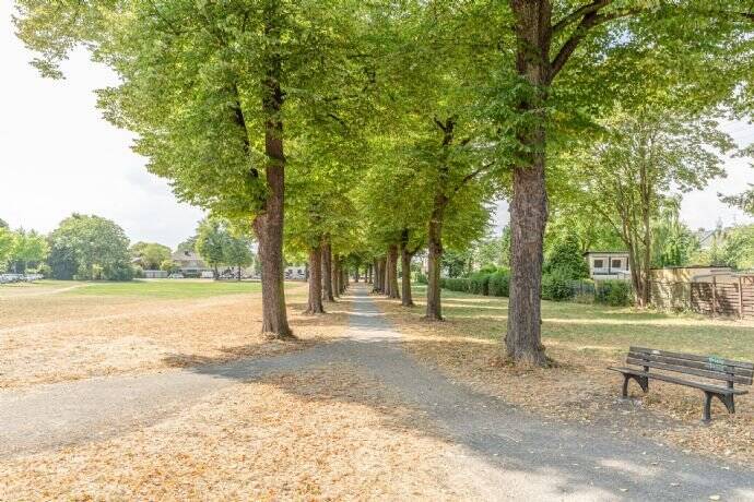 Property thumbnail 8