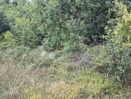 Acker-/Waldstück zum Kauf 30.425 € Kavran, Marčana Marčana 52206