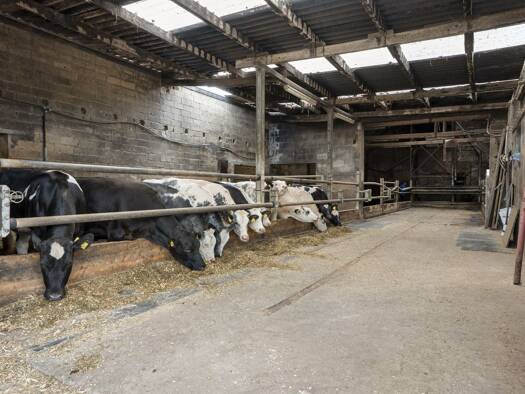 Bauernhaus zum Kauf 575.000 € 7 Zimmer 208 m² 9.253 m² Grundstück Oberbruch Heinsberg 52525