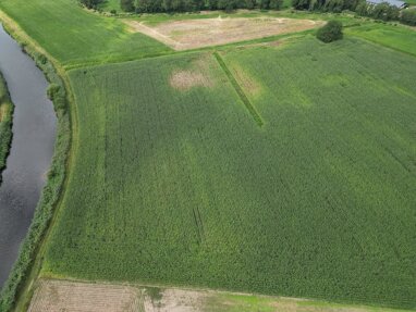 Land-/Forstwirtschaft zum Kauf 73.777 m² Grundstück Laar Laar 49824