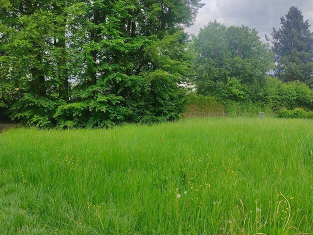 Grundstück zum Kauf 540.000 € 1.421 m² Grundstück Bad Saulgau Bad Saulgau 88348