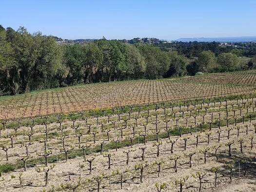 Land-/Forstwirtschaft zum Kauf 2.438.000 € 420.000 m² Grundstück Pont-Saint-Esprit 30130