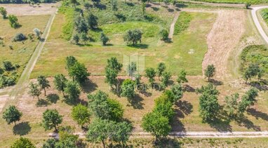 Land-/Forstwirtschaft zum Kauf 879.000 € Porec center 52440