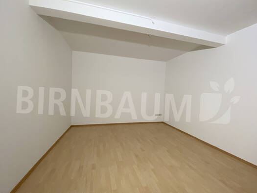 Studio zur Miete 390 € 1 Zimmer 39,4 m² EG Steinstraße 6 - 8 Fleischervorstadt Greifswald 17489