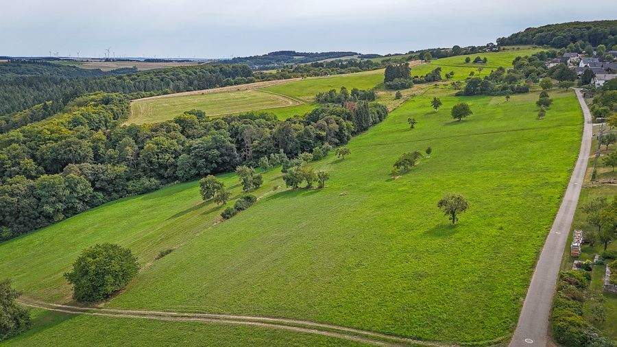 Immobilie in Macken - Gemütliches Wohnhaus mit traumhafter Gartenlandschaft - Bild 4
