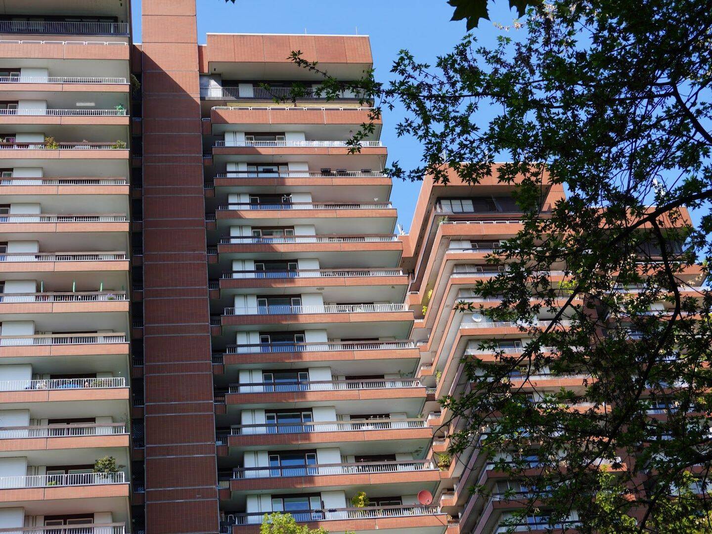 Wohnung zur Miete - Ansicht 4