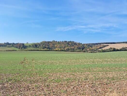 Landwirtschaftliche Fläche zum Kauf 101.505 m² Grundstück Erdeborn Seegebiet Mansfelder Land 06317