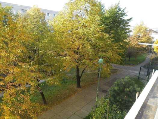 Wohnung zum Kauf als Kapitalanlage geeignet 118.000 € 4 Zimmer 80 m² Bansiner Straße 25 A Kaulsdorf Berlin 12619