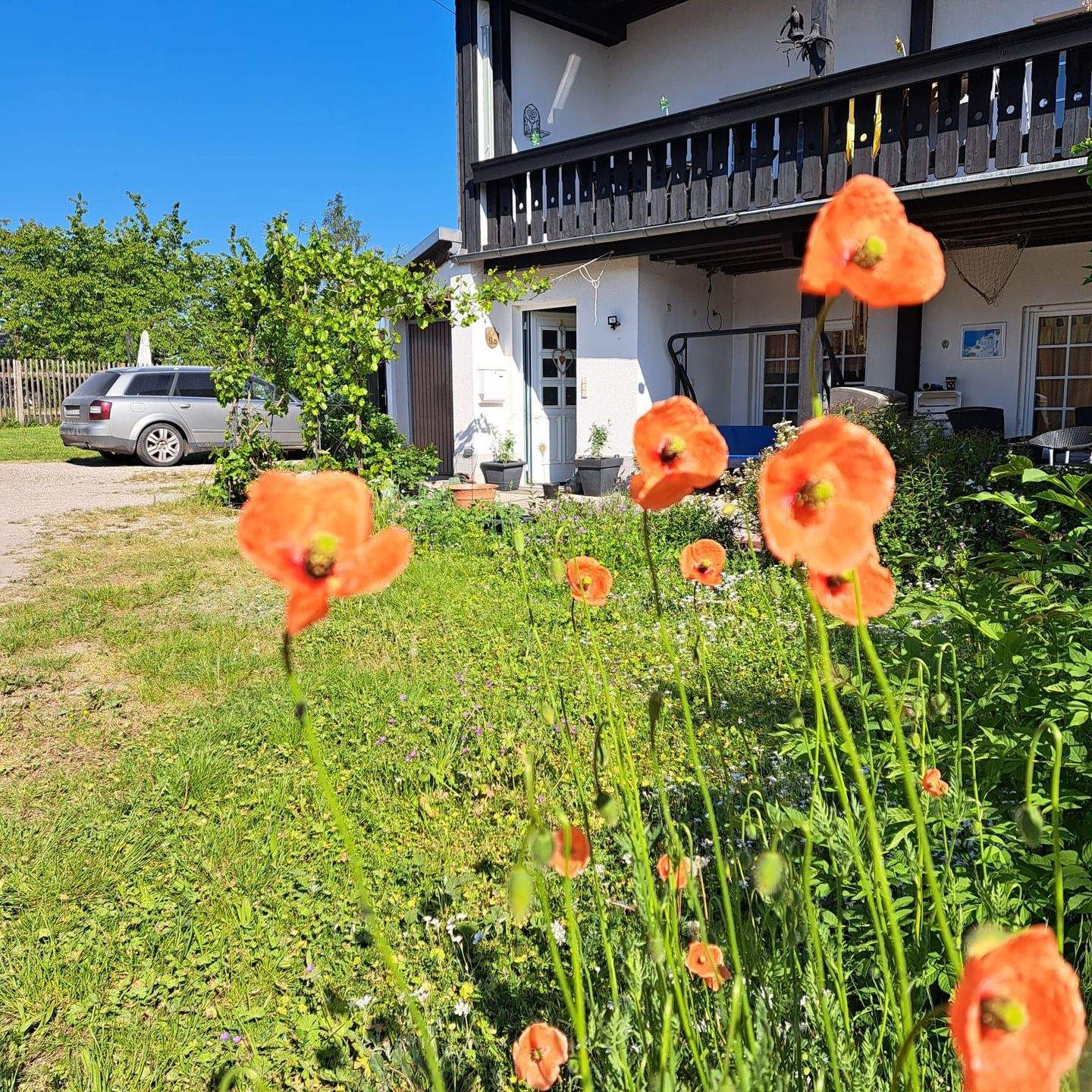 Immobilie in Leutenberg - Ein Haus voller Ideen mit Garten für junges Gemüse - Bild 1