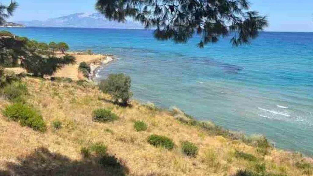 Grundstück zum Kauf 1.050.000 € 8.000 m² Grundstück ????????? 29090