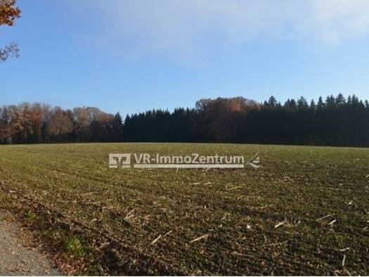 Landwirtschaftliche Fläche zum Kauf 345.000 € 35.008 m² Grundstück Schöffelding 86949