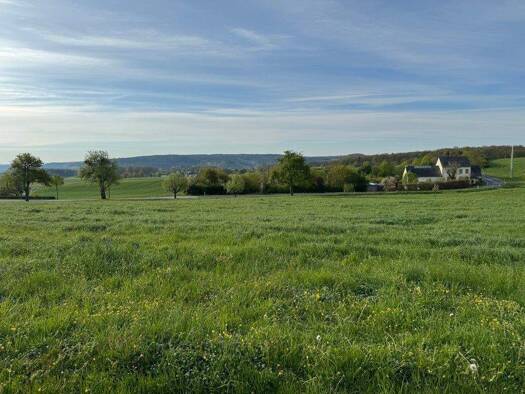 Grundstück zum Kauf 156.750 € 1.045 m² Grundstück Nusbaum 54675