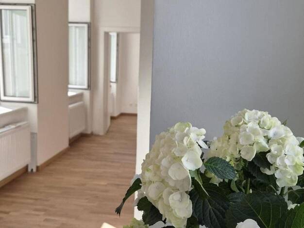Wohnung zum Kauf provisionsfrei 287.000 € 3 Zimmer 45,5 m² 3. Geschoss Stuwerviertel Wien 1020