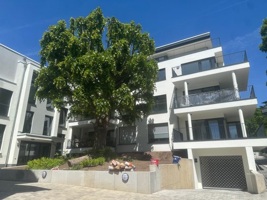 Wohnung zur Miete 1.800 € 3 Zimmer 91 m² EG frei ab sofort Königstein 61462