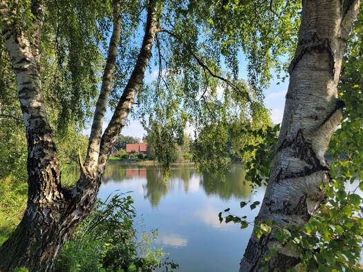 Bauernhaus zum Kauf - Erstbezug 425.000 € 3 Zimmer 87,7 m² 390 m² Grundstück Warendorf 48231