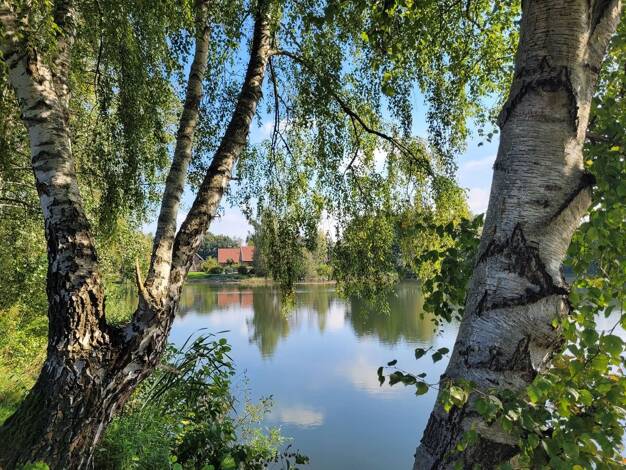 Bauernhaus zum Kauf - Erstbezug 425.000 € 3 Zimmer 87,7 m² 390 m² Grundstück Warendorf 48231