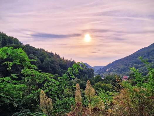 Einfamilienhaus zum Kauf 399.000 € 8 Zimmer 170 m² 1.076 m² Grundstück Lambrecht 67466