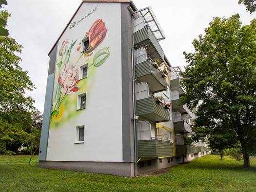 Wohnung zur Miete 282 € 2 Zimmer 47 m² 3. Geschoss frei ab sofort Albert-Schweitzer-Straße 1 Altendorf Chemnitz 09116