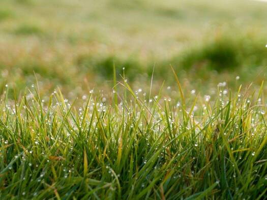 Grundstück zum Kauf 2.400.000 € 887 m² Grundstück Sendling-Westpark München 81369