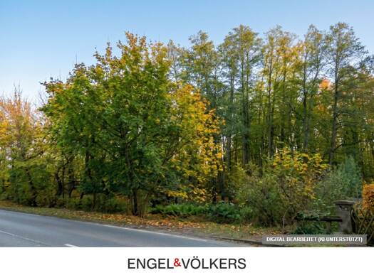 Grundstück zum Kauf 295.000 € 1.260 m² Grundstück Mühlenbeck Mühlenbecker Land 16567
