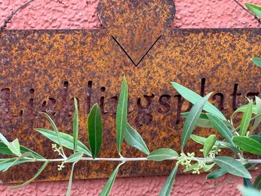 Einfamilienhaus zum Kauf provisionsfrei 980.000 € 6 Zimmer 160 m² 11.700 m² Grundstück Rivenich 54518