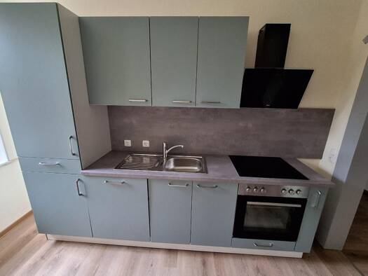 Wohnung zur Miete 450 € 2 Zimmer 57 m² Goethestraße 93 Preißelpöhl Plauen 08525