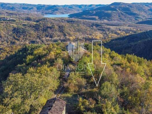 Land-/Forstwirtschaft zum Kauf 299.000 € Motovun Motovun