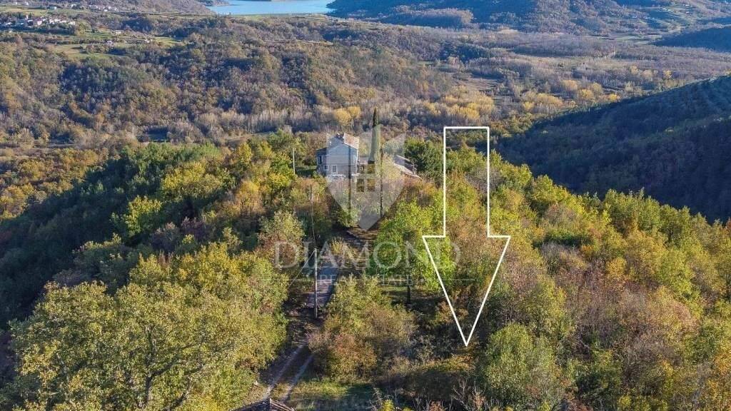 Land-/Forstwirtschaft zum Kauf 299.000 € Motovun Motovun