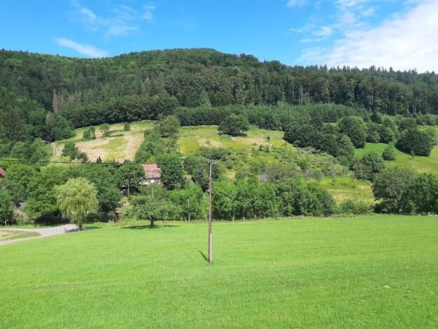 Bauernhof zum Kauf 899.000 € 75.000 m² Grundstück Berghaupten 77791