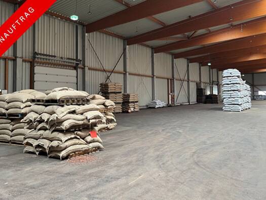 Lagerhalle zur Miete 6 € 3.500 m² Lagerfläche teilbar ab 3.500 m² Kleiner Grasbrook Hamburg 20457