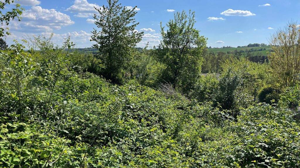 Grundstück zum Kauf 40.000 € 1.618 m² Grundstück Altschlaining 7461