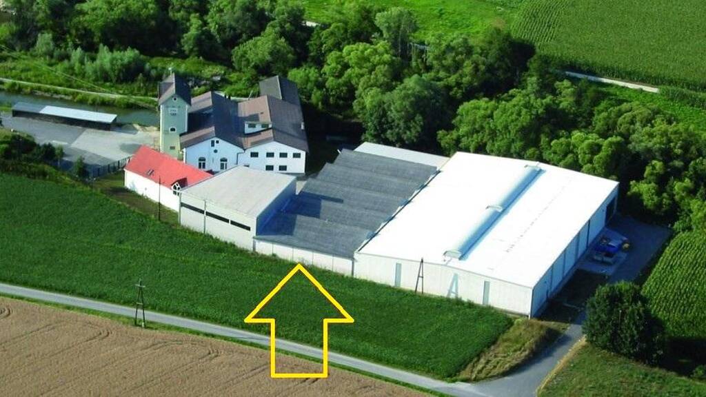 Lagerhalle zum Kauf 369.999 € 900 m² Lagerfläche Fürstenfeld, Hartberg-Fürstenfeld, Fehring, Feldba 8280