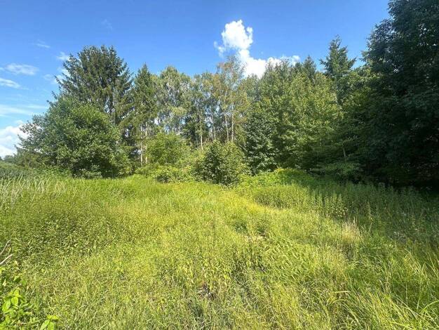 Grundstück zum Kauf 289.000 € 1.915 m² Grundstück frei ab sofort Bienenbüttel Bienenbüttel 29553