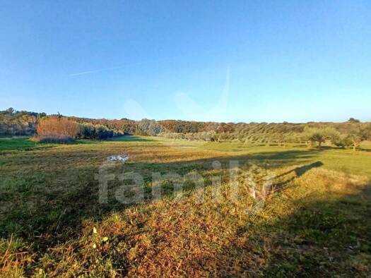 Acker-/Waldstück zum Kauf 117.000 € Medulin 52203