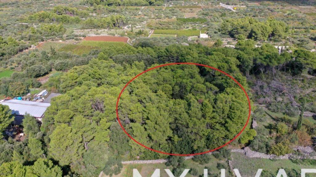 Land-/Forstwirtschaft zum Kauf 82.680 € Stari Grad